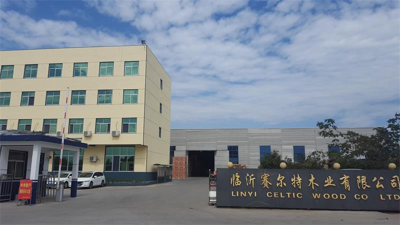 關(guān)于賽爾特